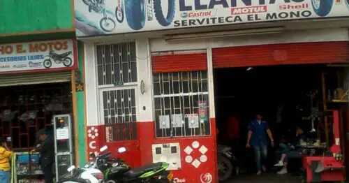 SERVITECA EL MONO SERVITECA EL MONO